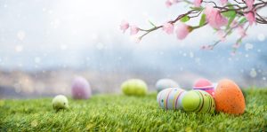 Decorated Easter Eggs on Fresh Grass